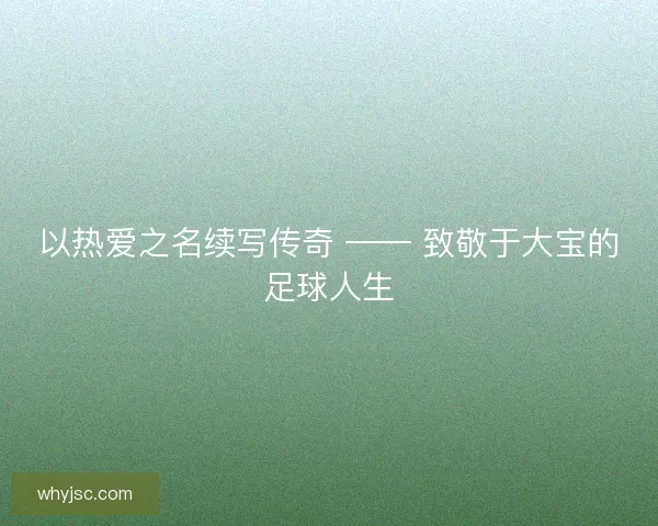 以热爱之名续写传奇 —— 致敬于大宝的足球人生