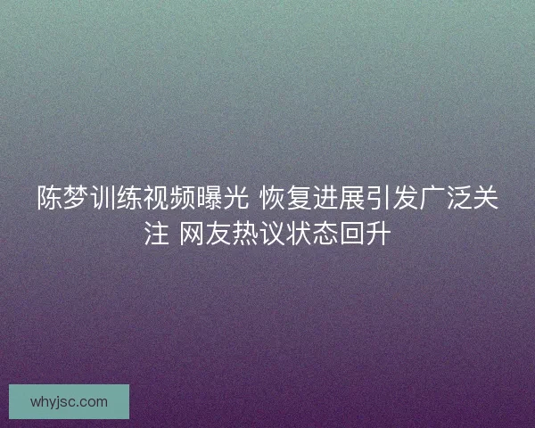陈梦训练视频曝光 恢复进展引发广泛关注 网友热议状态回升