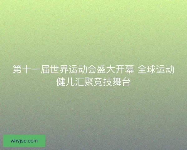 第十一届世界运动会盛大开幕 全球运动健儿汇聚竞技舞台